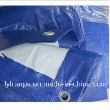 China Tarpaulin Supplier, Linyi PE Tarp Factory